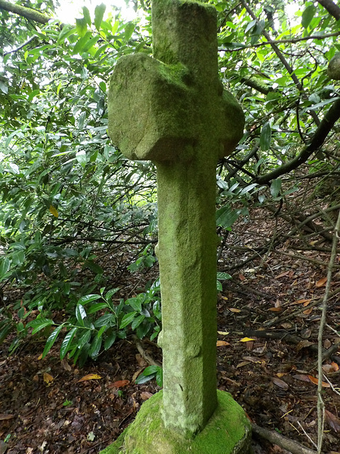 La croix du Chalonge à Trévron (22)