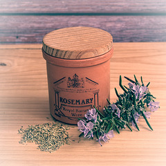 A Still Life...........with Rosemary