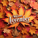 Willkommen im November