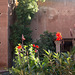 Marrakesch - Tombeaux Saaladiens