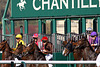 Chantilly