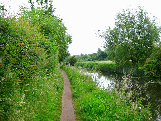 Staffordshire and Worcestershire Canal near Compton