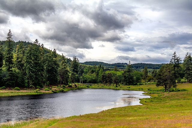 Cragside Views