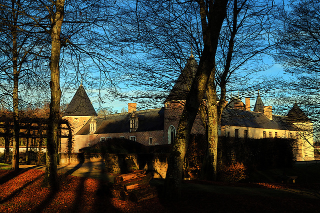 Château de Chamerolles ( 45 ).