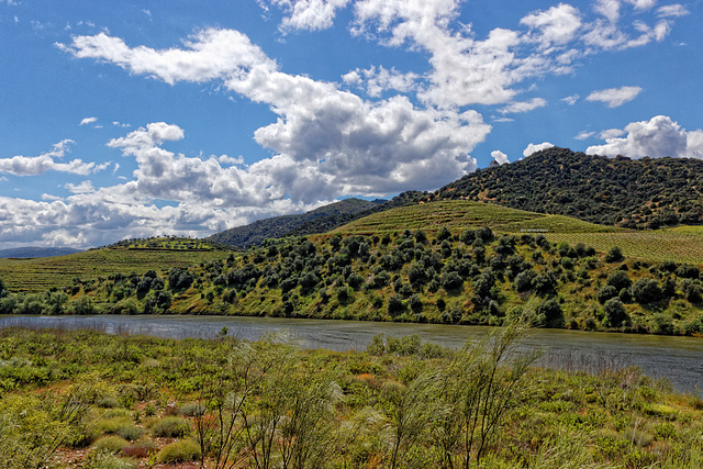 Quinta do Vale Meão, V. N. de Foz Côa, Portugal