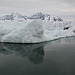 Svalbard, Hornsund-fjord, Floating Ice Floe