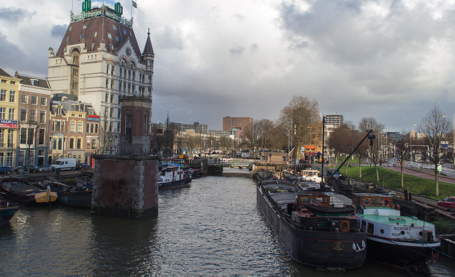 Rotterdam older harbor (#0232)