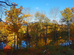 Herbst in New Hampshire