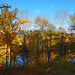 Herbst in New Hampshire