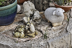 Bambi and Friends – El-Muraqa Monastery, Daliyat al-Karmel, Israel