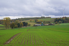 Hof außerhalb von Elbingerode