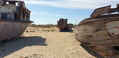 The Ship Graveyard