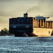 Neulich im Hamburger Hafen.
