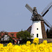 Windmühle Eickhorst Windmühle Eickhorst