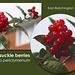 Honeysuckle berries - East Blatchington - 22.9.2015