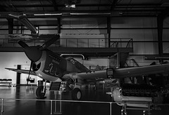 The Museum Is Not Open (#1)