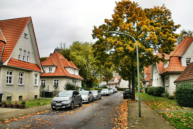 Am Hasebrink (Gartenstadt Welheim, Bottrop) / 20.10.2021