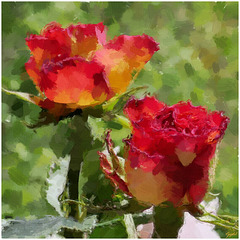 Deux Roses