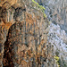 Nationalpark Paklenica - Ausblick von der Infotafel (1)