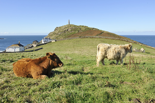 Cape Cornwall