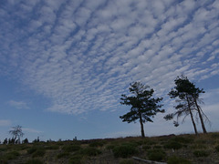 20180910 -15 Randos solo Prévenchères (Lozère-Villefort) (451) al