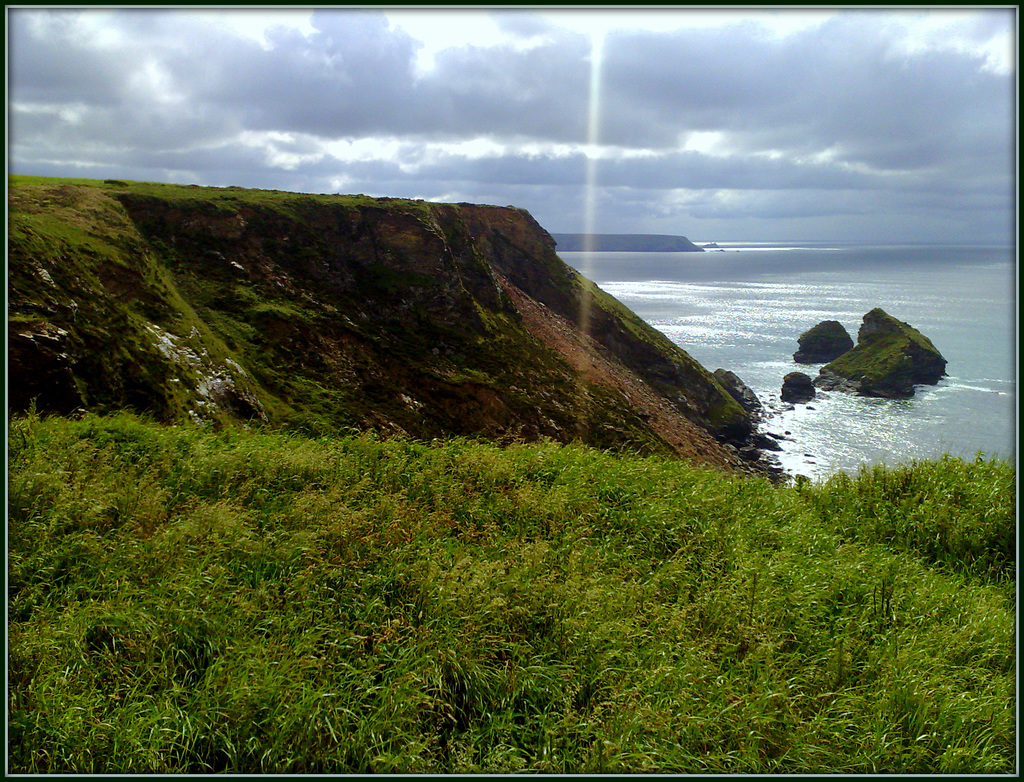 Sunbeam, Basset Cove. H. A. N. W. E. everyone! For Pam.