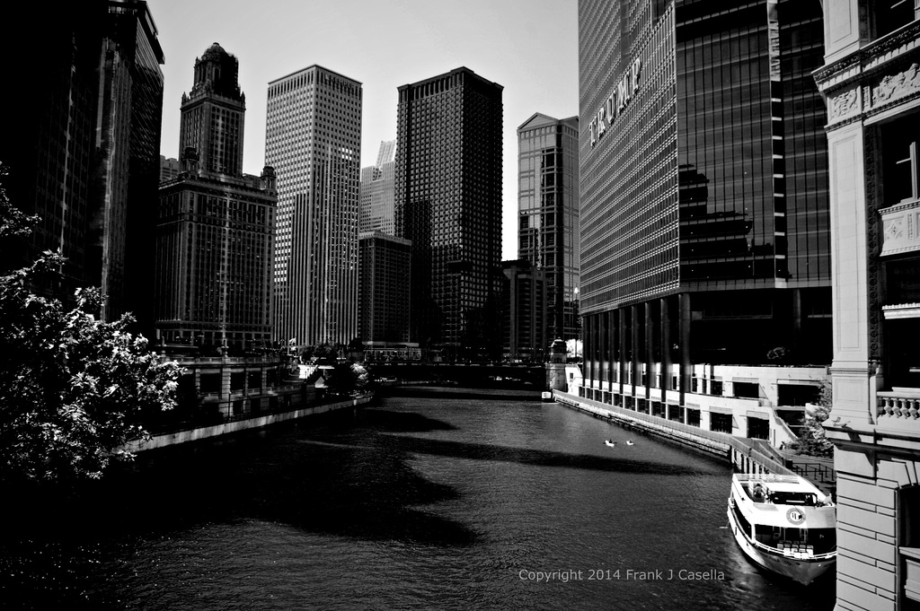 Kayaks on the Chicago River