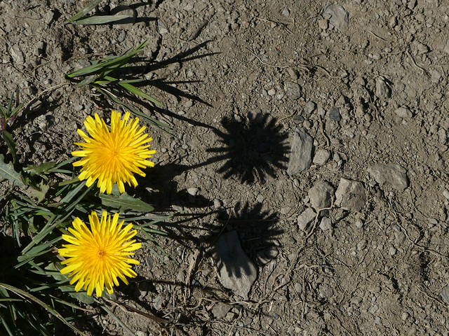 20200822 -0908 Diois Savoie Trieves Diois (418)