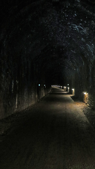 Tidenham Tunnel