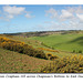 Across Chapman's Bottom to East Dean - East Sussex - 30.4.2015