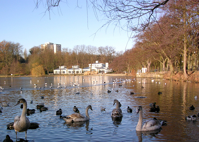 Außenmühlenteich und Restaurant  Leuchtturm