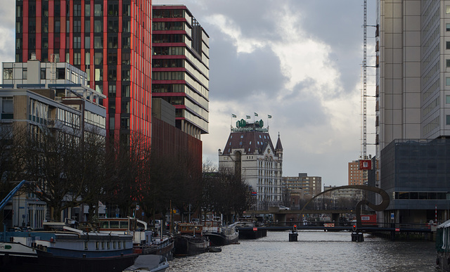 Rotterdam older harbor (#0242)