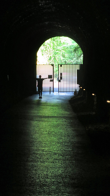 Tidenham Tunnel