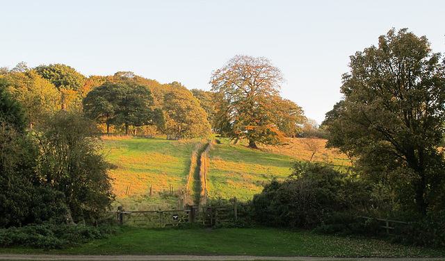 Autumn in Yorkshire - H.F.F. !