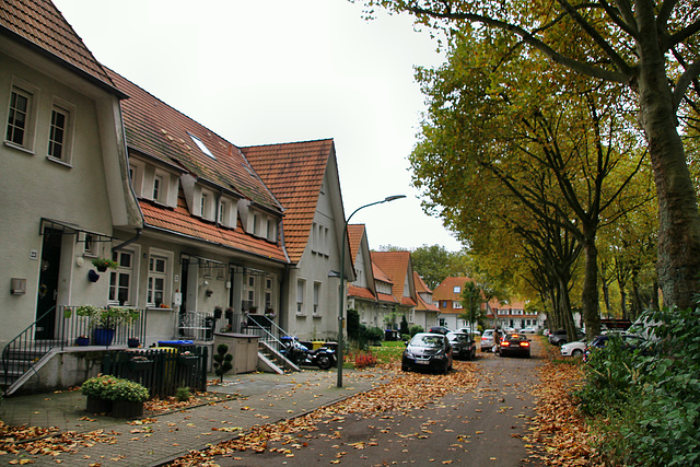 Im Sundern (Gartenstadt Welheim, Bottrop) / 20.10.2021