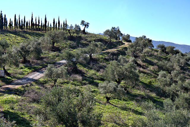 Near Zahara de la Sierra