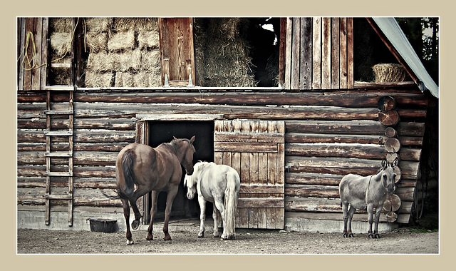 100 Mile House, BC