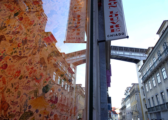 The animals also are coming stroll to Chiado!