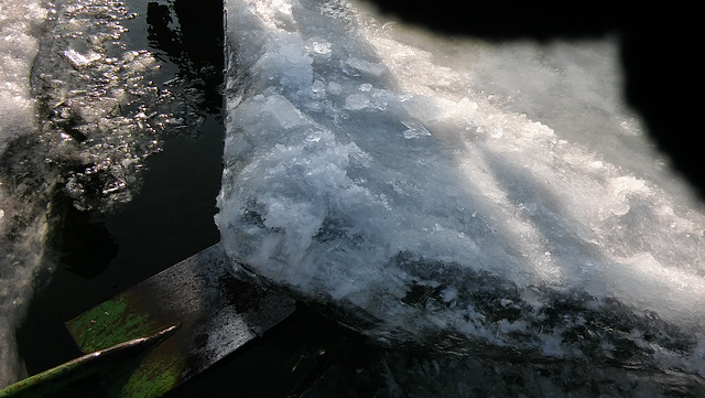 Unsere Eisscholle ,15 cm dick, wird unter Wasser weggeschoben