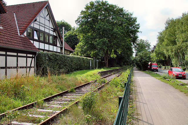 Ruhrtalbahn am Haltepunkt Witten-Bommern / 26.07.2017