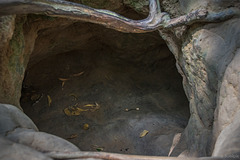 im Museum von Cu Chi - verschiedene Arten von Eingängen zum Tunnelsystem (© Buelipix)