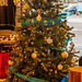 Christmas at Chester zoo