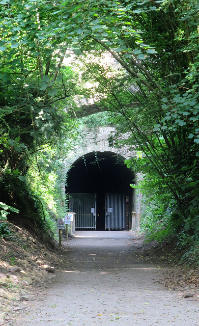 Tidenham Tunnel