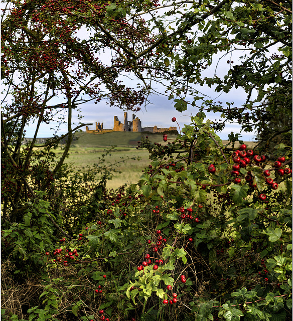 Dunstanburgh Castle from Afar