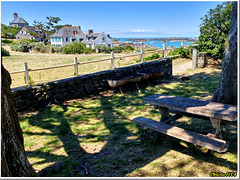 Shaded picnic bench - HBM