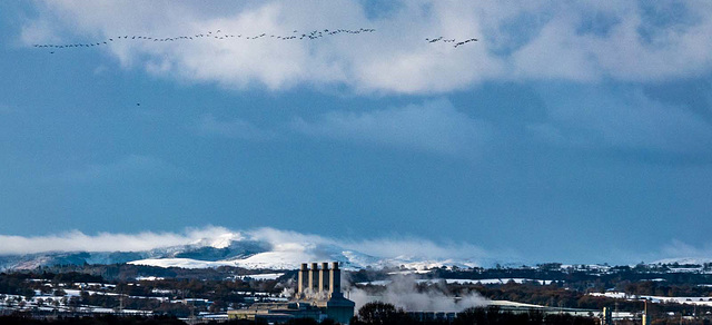 Moel Famau with geese in flight