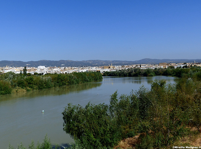 El guadalquivir (Cordoue) Espagne