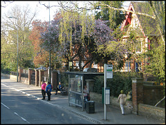 bus stop in spring