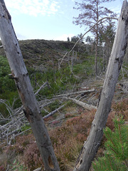 20180910 -15 Randos solo Prévenchères (Lozère-Villefort) (455) al