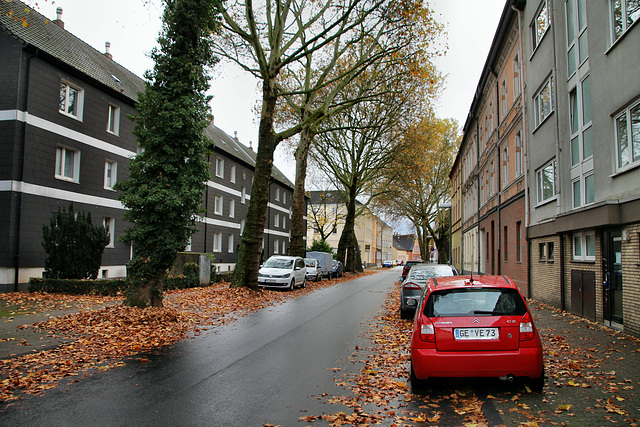 Belforter Straße (Gelsenkirchen-Rotthausen) / 2.11.2019